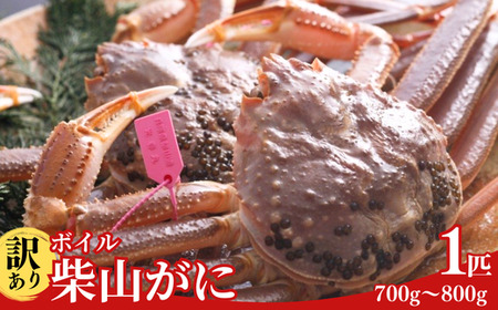 《先行予約》【訳あり】 ボイル 柴山がに（冷凍）700g～800g 1匹【令和8年11月上旬以降発送予定】 かに カニ  04-07