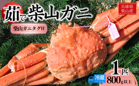 【先行予約】茹で タグ付 柴山がに 1匹（約800g以上）冷蔵【令和8年11月中旬以降発送予定】  かに カニ 37-07