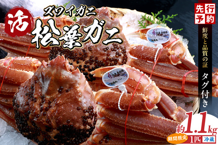 【先行予約】最高グレード タグ付き 活 生 松葉がに 約1.1kg 【令和8年11月中旬以降発送予定】かに カニ 07-06
