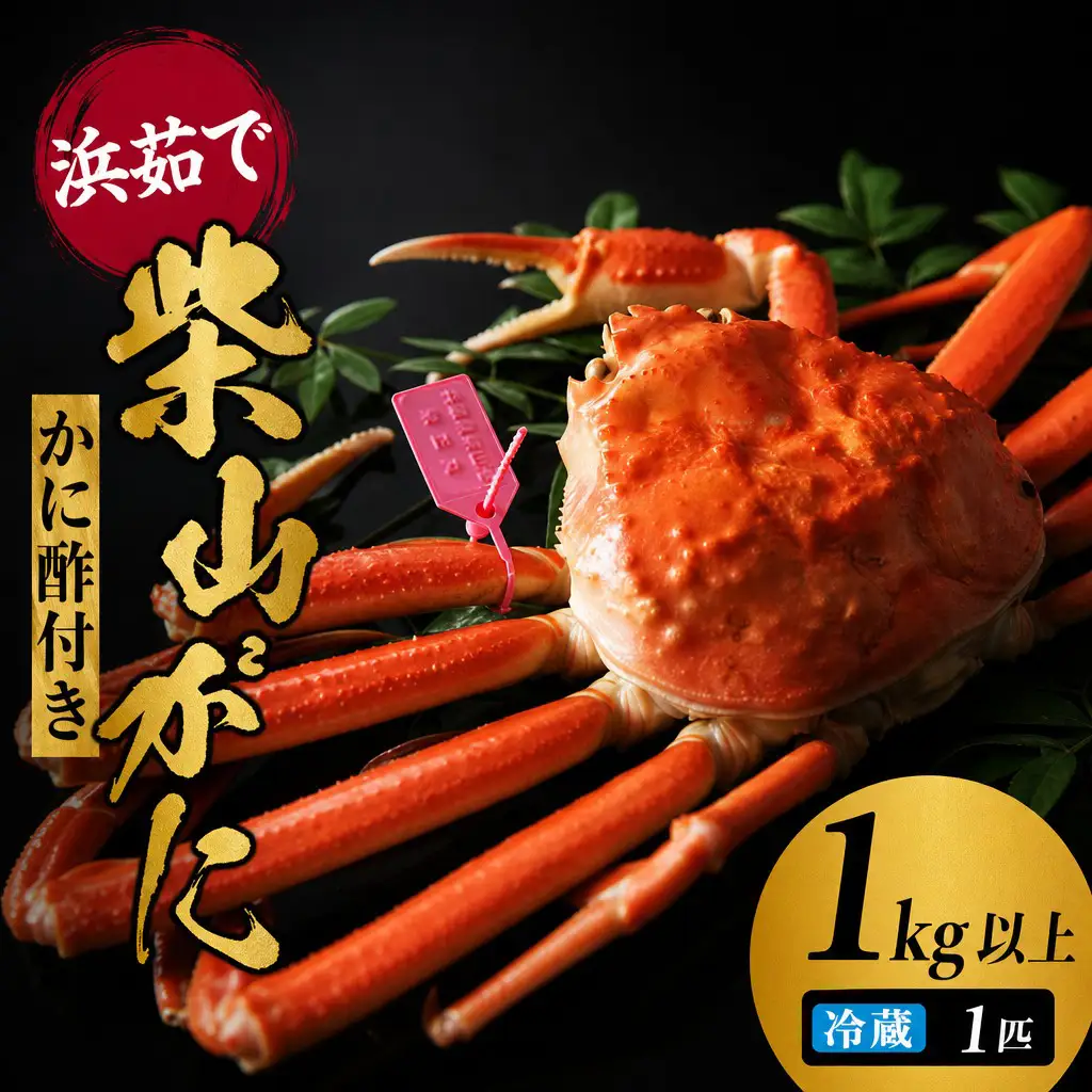 【先行予約】カネニの浜茹で 柴山がに タグ付き 1kg以上 冷蔵 【令和8年11月中旬以降発送予定】かに カニ 06-02