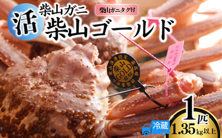 【先行予約】柴山産 活 タグ付 柴山ゴールド 柴山がに 松葉がに 1匹 1.35kg以上 冷蔵 【令和8年11月中旬以降発送予定】 かに カニ  37-05