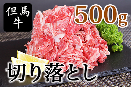 但馬牛 切り落とし 500g 冷凍 牛肉  02-02