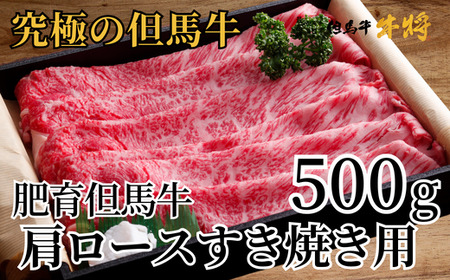 但馬牛 肩ロース すき焼き用 合計500g 冷凍 牛肉  02-06