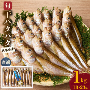 高評価 ☆4.8 干物 ハタハタ 1kg 魚 はたはた 08-08