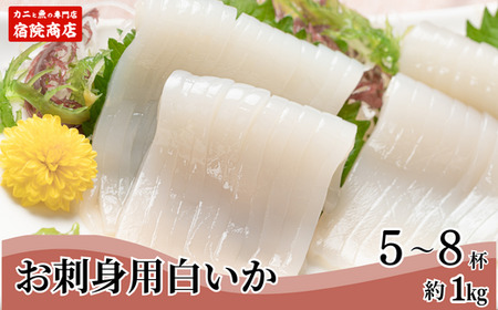 【兵庫県香住産 白いか 剣先いか お刺身用 新鮮 5～8杯 約1kg 冷凍】【令和8年6月下旬以降発送予定】 兵庫県 宿院商店 33-07