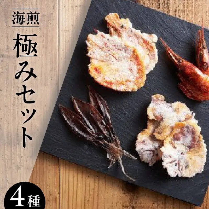 海煎極みセット せんべい おつまみ 海鮮 45-01