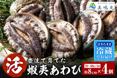 活あわび 8cm×4枚 280～320g (1個70～80g）あわび アワビ 20-01