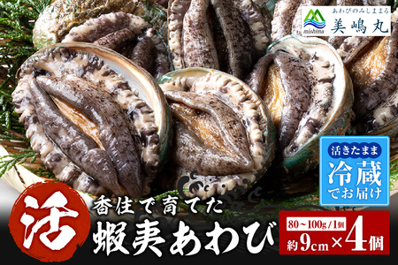 活あわび 9cm×4枚 320～400g (1個80～100g） あわび アワビ 20-02