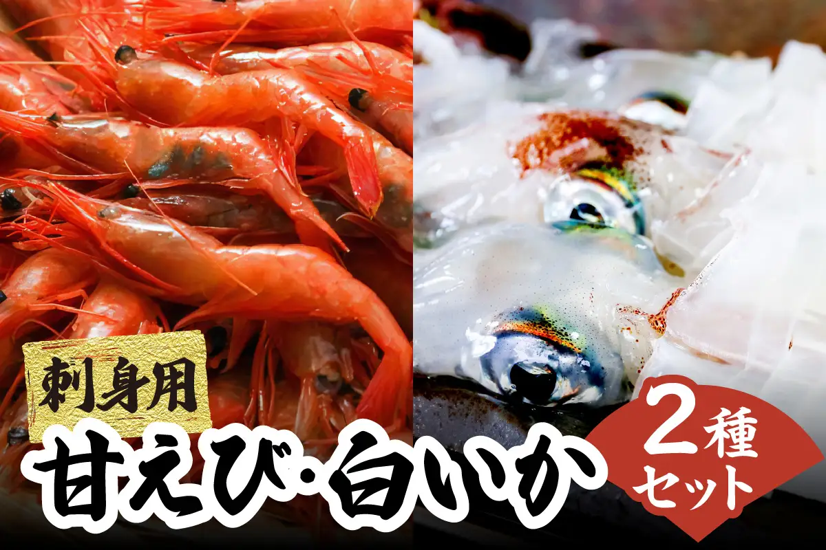 甘えび 白いか お刺身 セット 【令和8年6月下旬以降発送予定】 冷凍 エビ えび イカ いか 33-05