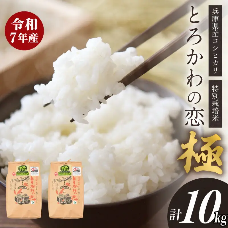 【令和7年産】兵庫県産 コシヒカリ とろかわの恋（極） 但馬堆肥米 お米 令和7年産 13-01