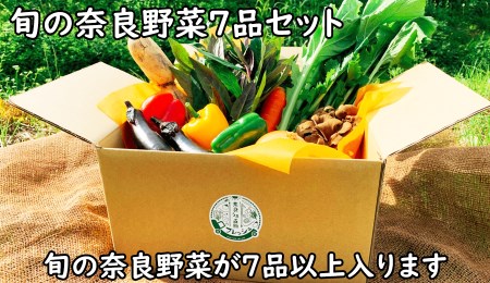 旬の奈良野菜セット(旬の野菜7品以上が入ります)/// 夏野菜 季節 厳選 旬 おまかせ 野菜セット セット 詰め合わせ 産地直送 奈良県 広陵町