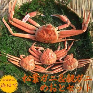 松葉ガニ  親ガニ 計 4枚 浜ゆで めおと セット 鳥取県産 蟹 かに 松葉蟹 | 56M