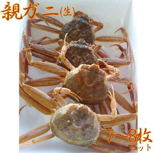 親ガニ 7枚 － 8枚 生 セット 鳥取県産 蟹 かに 松葉蟹 | 57M