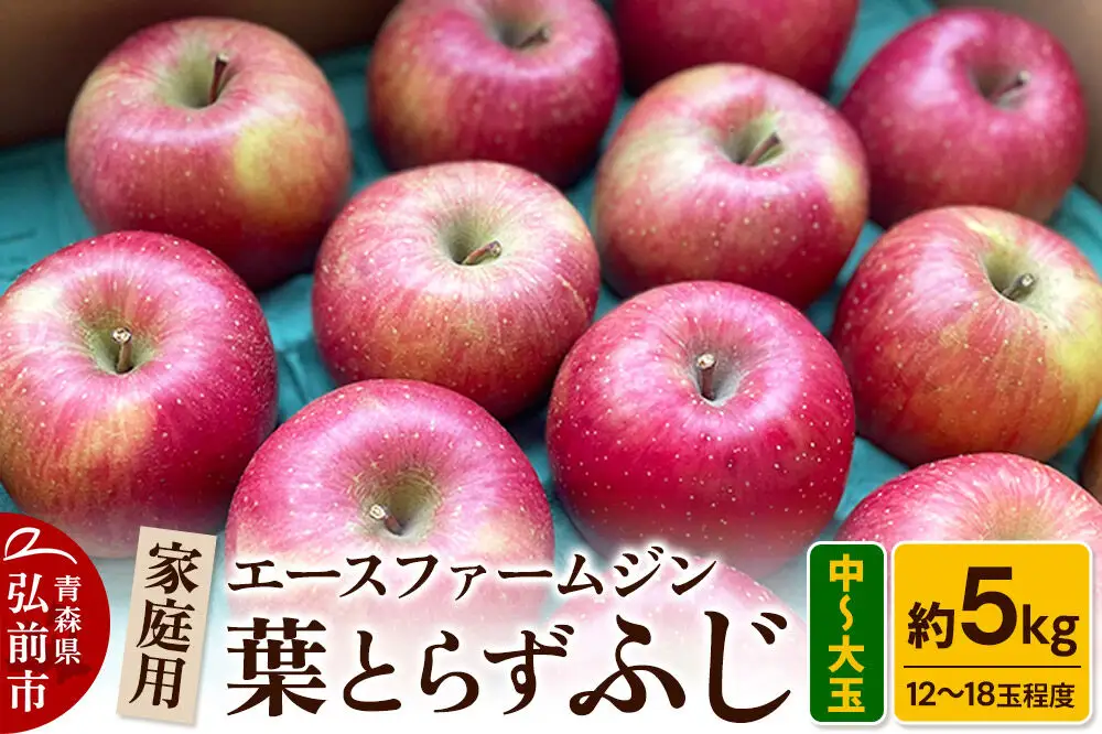 【26年11月発送】りんご【数量限定】家庭用 葉とらず ふじ 約5kg（中玉～大玉12～18玉程度）【先行受付】 青森 果物 フルーツ 林檎 リンゴ くだもの 予約