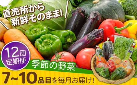 【12回定期便】野菜定期便 7〜10品目 / ながさき南部 [SBW005] 