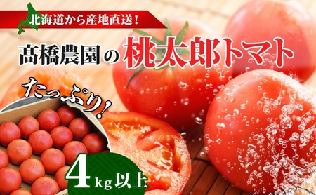 北海道 高橋農園 桃太郎トマト 4kg以上 M～Lサイズ (18玉～24玉) 5月下旬～9月上旬頃お届け 大玉トマト tomato 産地直送 農家直送 新鮮 野菜 安心 安全 とれたて 完熟 洞爺湖町 送料無料