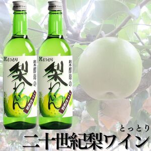 139M.爽やか！『とっとり二十世紀梨わいん』2本セット