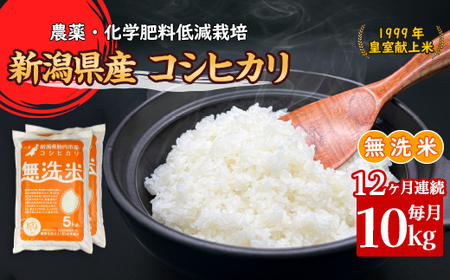 16-M10Z【12ヶ月連続お届け】新潟県胎内市産コシヒカリ【無洗米】10kg（5kg×2袋）