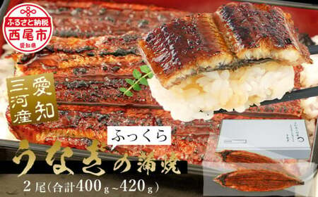 【期間限定】三河産　超特大うなぎ「蒲焼冷凍×2尾」・A090-17