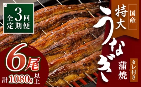 ふっくらジューシーのこだわりうなぎ【3回定期便】国産うなぎ蒲焼 6枚セット×3回[FAD014]