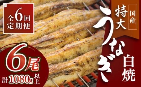 ふっくらジューシーのこだわりうなぎ【6回定期便】国産うなぎの白焼 6枚セット×6回[FAD019]