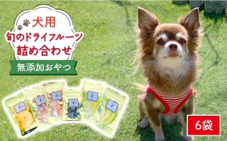 犬の無添加おやつ☆お砂糖不使用 旬のドライフルーツおまかせ6袋 吉野ヶ里町 [FCG022]