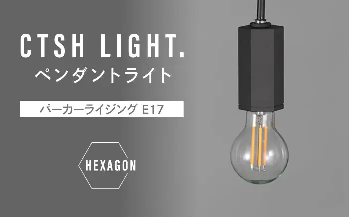 CTSH LIGHT. ペンダントライト＜HEXAGONパーカーライジング E17＞ 瑞浪市 / ジオニック 照明器具 ソケット 鉄 ブラック [AZBQ099]