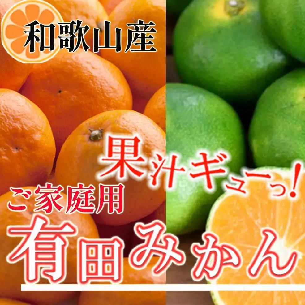 ［先行予約］家庭用 有田みかん2.5kg+250g（傷み補償分）［2026年10月初旬から2027年1月末日頃順次発送予定］［IKE248］
