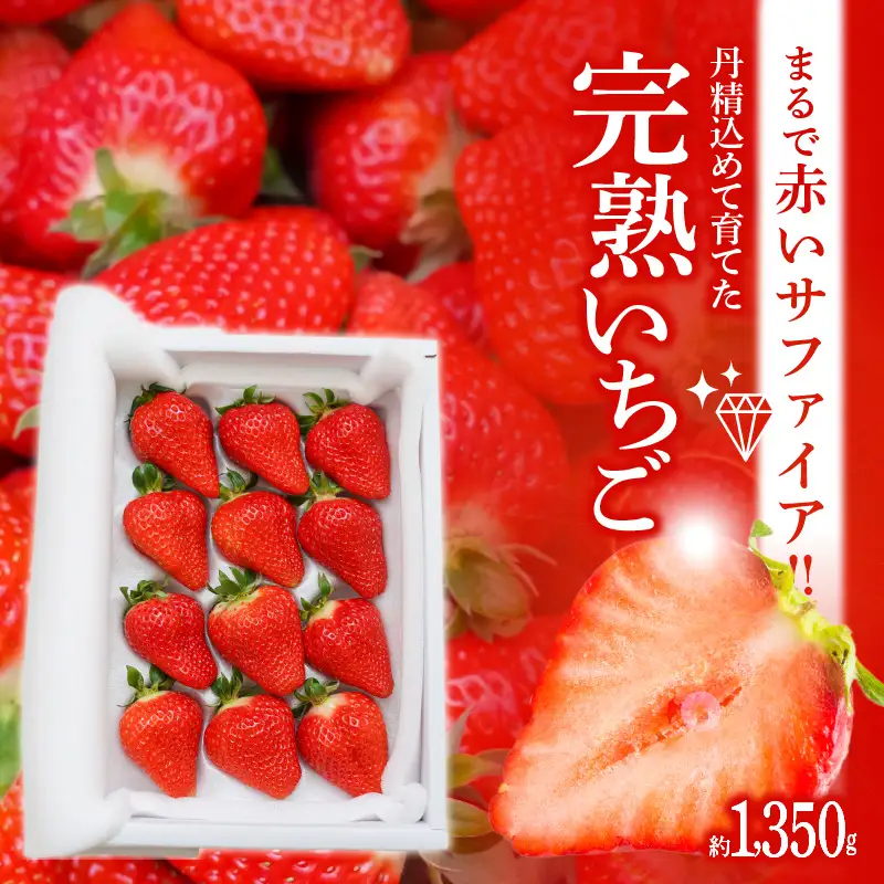 【12月以降順次発送】まるで赤いサファイア!!丹精込めた完熟いちご!! 約1350g H130-011