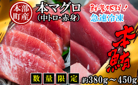 本マグロ（赤身・中トロ）セット 本部町産 約380g～450g マグロ