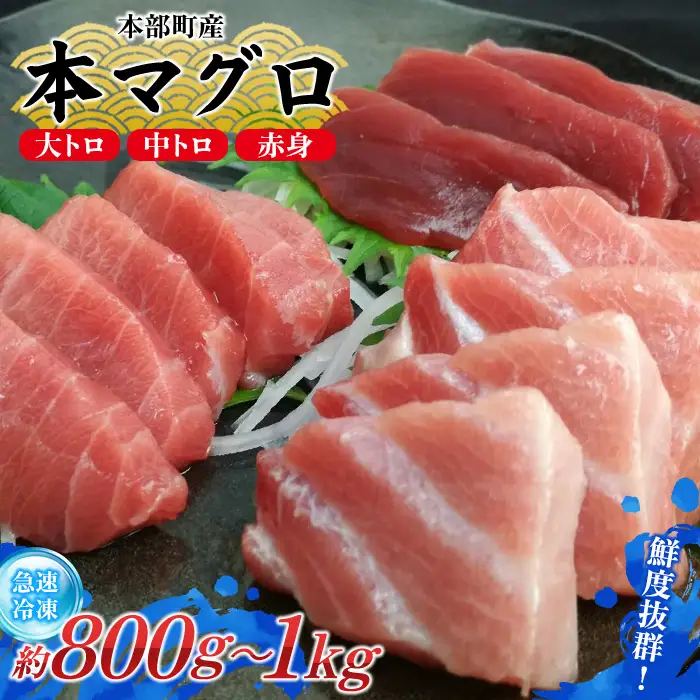 本マグロづくし（大トロ・中トロ・赤身） 本部町産 約800g～1000g マグロ