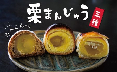栗ざんまい！栗まんじゅう３種類食べ比べセット H149-018