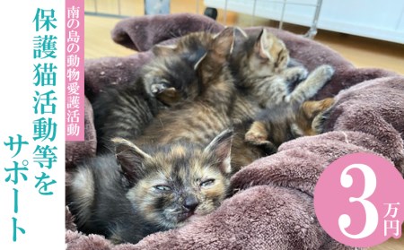 【南の島の動物愛護活動】保護猫活動等をサポート（3万円）- ねこ ネコ 地域猫 保護活動 支援 応援 さくらねこ 動物愛護 保護 里親 寄附のみ 沖縄県 八重瀬町