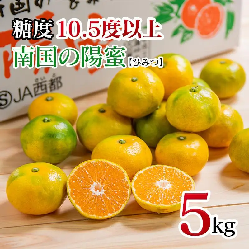 【先行予約】極早生みかん「南国の陽蜜」5kg 糖度10.5度以上＜2-5a＞