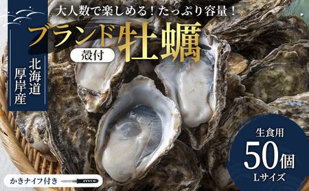 パーティー用 北海道 厚岸産牡蠣 Lサイズ50個入（目安：10人前） ふるさと納税 北海道 牡蠣 カキ かき 生食 生食用 生牡蠣 パーティー ミルク 魚貝類 殻付き牡蠣 シーフード マルえもん
