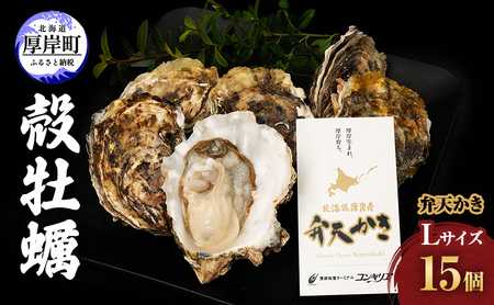 厚岸町 新ブランド 『 弁天かき 』 Lサイズ 15個  北海道 牡蠣 カキ かき 生食 生食用 生牡蠣 魚介類 魚貝類 