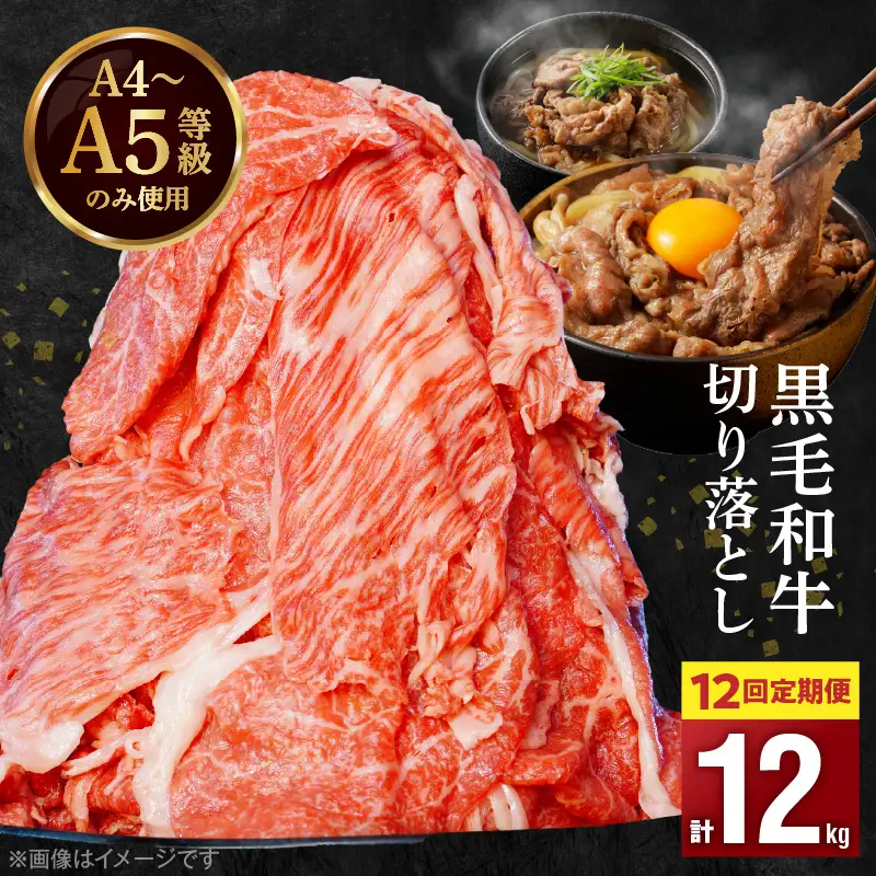 S001-001-T12A_【定期便12回】A4～A5等級 黒毛和牛 切り落とし1kg（500g×2P）12か月連続お届け / 【定期便】 12回 ミシュランビブグルマン 獲得 切り落とし 500g × 2パック A4 〜 A5等級 特選 毎月届く 肉 牛肉 和牛 国産 サシ 霜降り 黒毛和種 炒め物 牛丼 肉じゃが 肉うどん 熊本県 天草市 お取り寄せ グルメ 送料無料