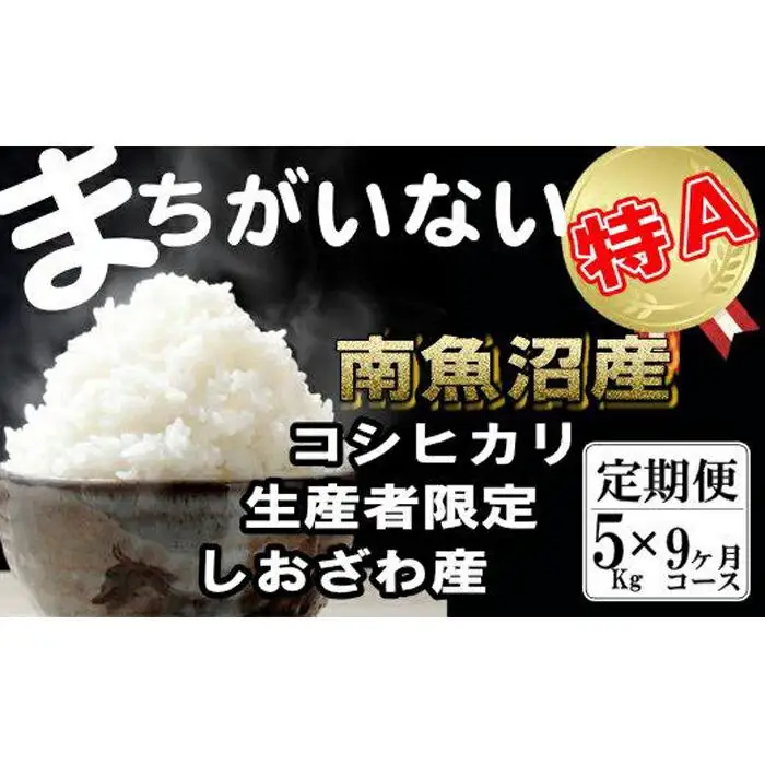【令和7年産】【定期便】生産者限定 契約栽培　南魚沼しおざわ産コシヒカリ（5Kg×9ヶ月）【定期便 銘柄米 ブランド米 精米 こしひかり コシヒカリ 魚沼産 新潟米 産地直送 お米 米 こめ コメ ご飯 御飯 ごはん】