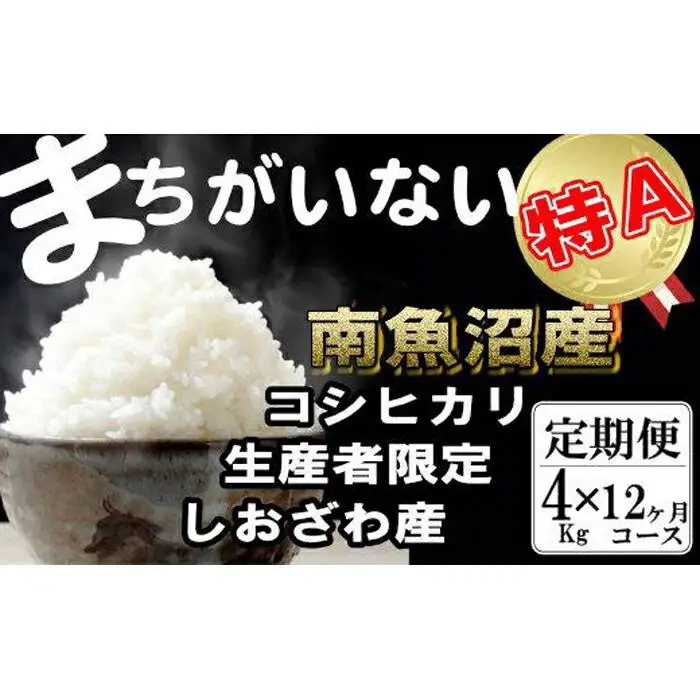 【令和7年産】【定期便】生産者限定 契約栽培　南魚沼しおざわ産コシヒカリ（4Kg×12ヶ月）【定期便 銘柄米 ブランド米 精米 こしひかり コシヒカリ 魚沼産 新潟米 産地直送 お米 米 こめ コメ ご飯 御飯 ごはん】