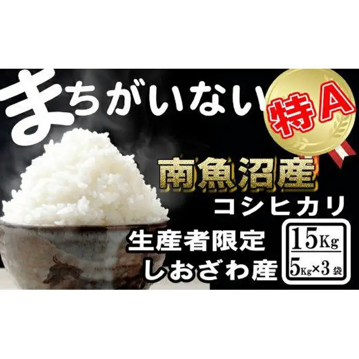 【令和7年産】生産者限定／契約栽培 南魚沼しおざわ産コシヒカリ15Kg（５Kg×3袋）【銘柄米 ブランド米 精米 こしひかり コシヒカリ 魚沼産 新潟米 産地直送 お米 米 こめ コメ ご飯 御飯 ごはん】