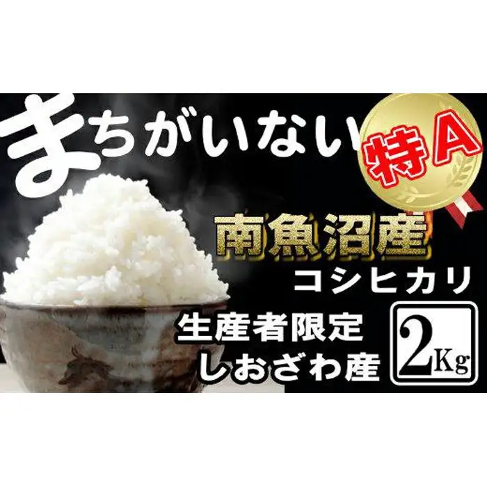 【令和7年産】生産者限定／契約栽培 南魚沼しおざわ産コシヒカリ2Kg【銘柄米 ブランド米 精米 こしひかり コシヒカリ 魚沼産 新潟米 産地直送 お米 米 こめ コメ ご飯 御飯 ごはん】