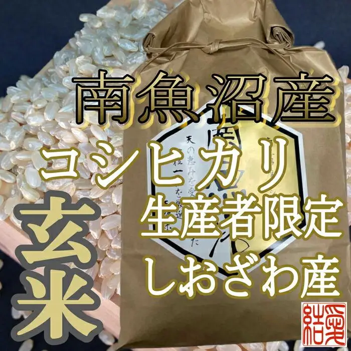【令和7年産】【定期便】玄米 南魚沼しおざわ産コシヒカリ4Kg×9ヶ月【定期便 銘柄米 ブランド米 玄米 こしひかり コシヒカリ 魚沼産 新潟米 産地直送 お米 米 こめ コメ ご飯 御飯 ごはん】