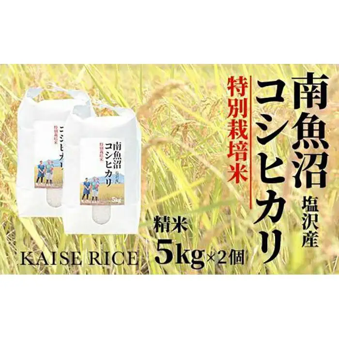 【令和7年産】南魚沼産塩沢コシヒカリ【従来品種】（特別栽培米８割減農薬）精米５ｋｇ×２個