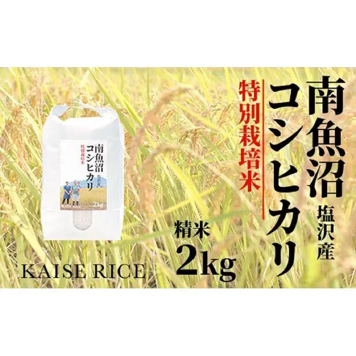 【令和7年産】南魚沼産塩沢コシヒカリ【従来品種】（特別栽培米８割減農薬）精米２ｋｇ