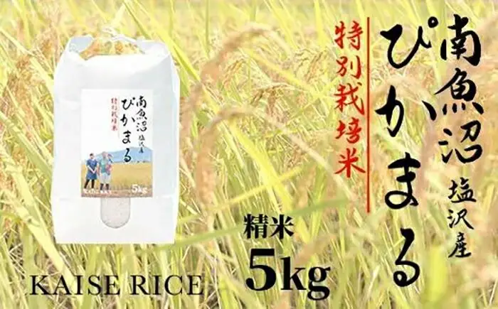 【令和7年産】南魚沼産塩沢【ぴかまる】（特別栽培米８割減農薬）精米５ｋｇ