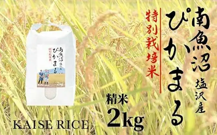 【令和7年産】南魚沼産塩沢【ぴかまる】（特別栽培米８割減農薬）精米２ｋｇ