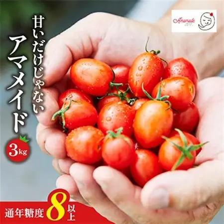 【3kg】ミニトマト 糖度8以上 アマメイド 　リピーター続出の人気野菜【1502595】