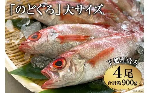 EF090「のどぐろ」大サイズ（200～250g） 4尾　＜煮付け・塩焼き用＞
