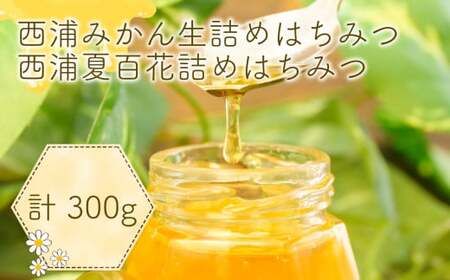 国産 はちみつ 100g 3本  西浦 みかん はちみつ