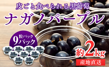 ぶどう 皮ごと食べられる 黒ぶどう ナガノパープル 粒パック 約2kg フルーツ 果物